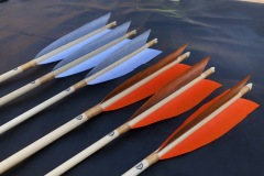 20240827_152555429_iOS