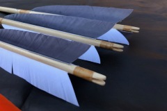 20240827_152619883_iOS