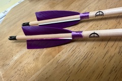 20250413_153327481_iOS_1