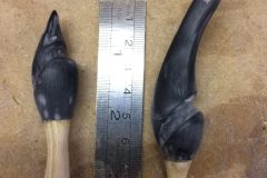 DA4E4815-7D2A-44EF-99D6-FF008A168E53-scaled